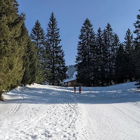 Wonderful With Cablecar To Area Apartamento Unterterzen