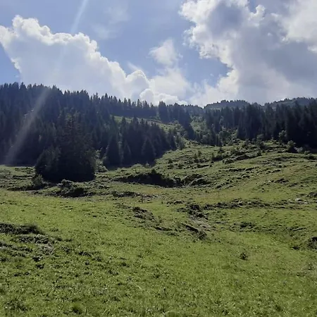 Wonderful With Cablecar To Area