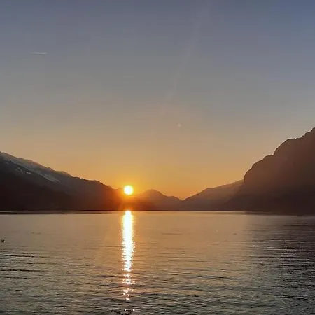 Wonderful On The Shore Of Walensee