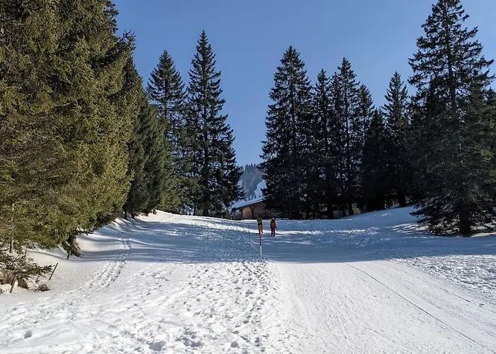 Wonderful With Cablecar To Area Apartment Unterterzen