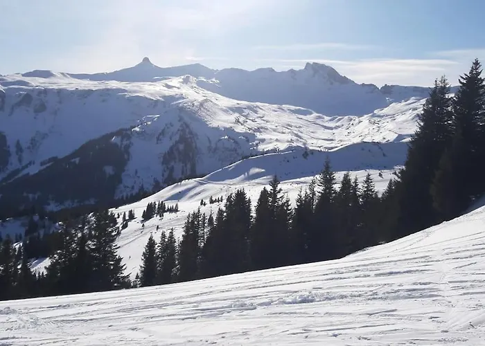 Appartement Wonderful With Cablecar To Area