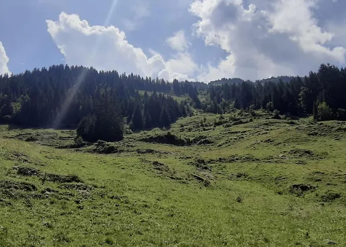 Wonderful With Cablecar To Area